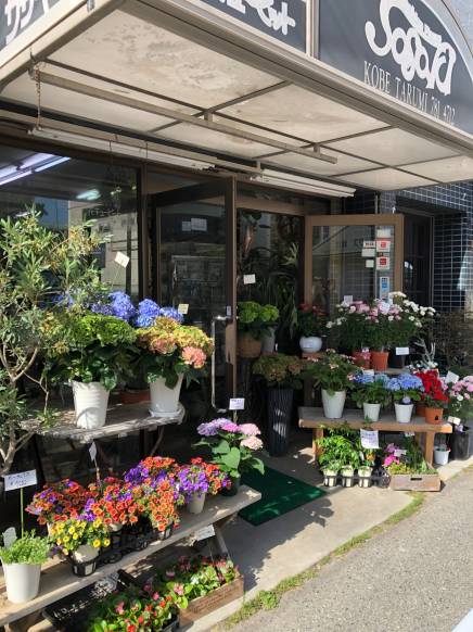 「ファッションフラワーササキ」　（兵庫県神戸市垂水区）の花屋店舗写真1